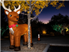 Inflatable Reindeer with Christmas Lights on a Tree
