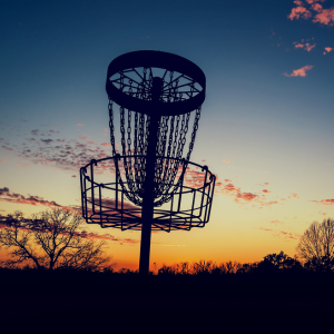 NF Disc Golf