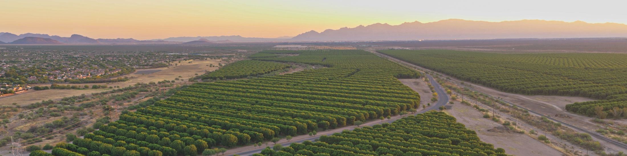 04 pecan fields 60fps-2.mp4.00_00_26_30.Still001